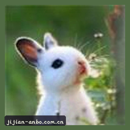 吴鹏